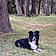 Blacky