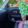 dog, car_interior, pet_clothing, window, dog_bed, seat, water_bottle, greenery, sunlight, curly_hair, small_dog, looking_out_window, passenger_seat, car_door, pink, shamrock_pattern, leash, daylight, roadside, nature