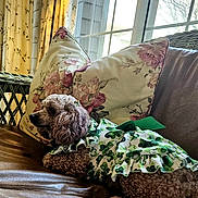 Candy joined the competition — help win amazing prizes! dog, curly_hair, clothing, dress, couch, pillow, lamp, window, indoor, floral_pattern, leather, resting, pet, cozy, home, decor, green, brown, relaxing, furniture