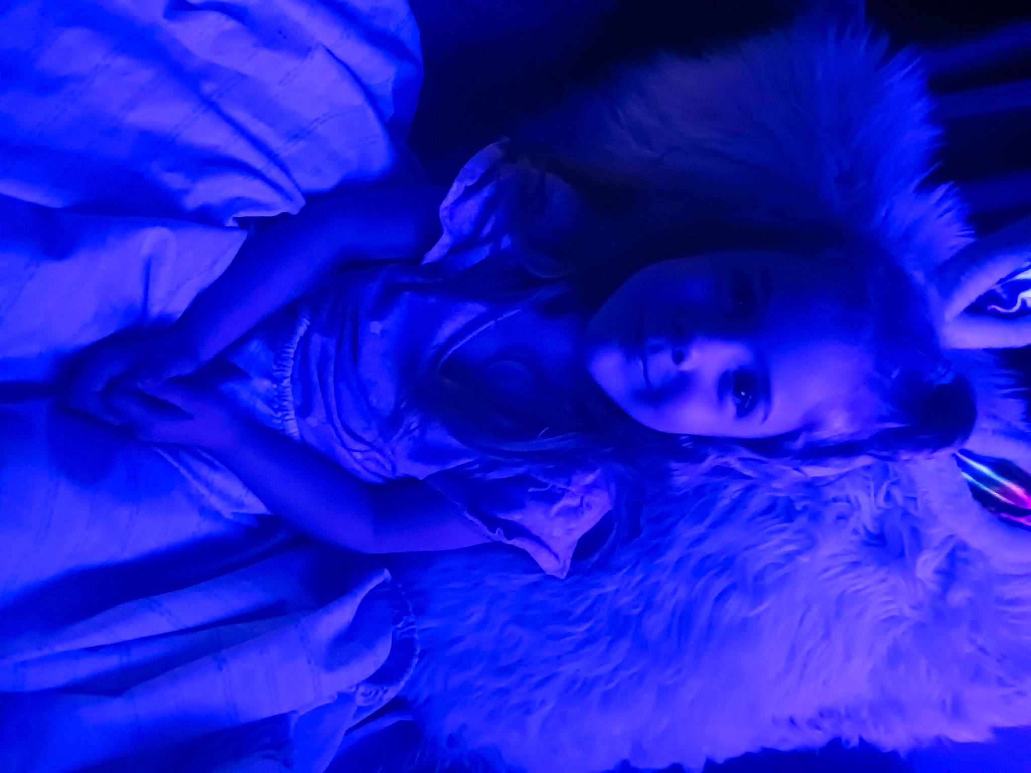 Paris is registered to the contest to win money with this photo: azure, darkness, electric_blue, event, flash_photography, fun, fur, joy, magenta, person, petal, plant, purple, room, sky, tree, under_exposed, violet, water