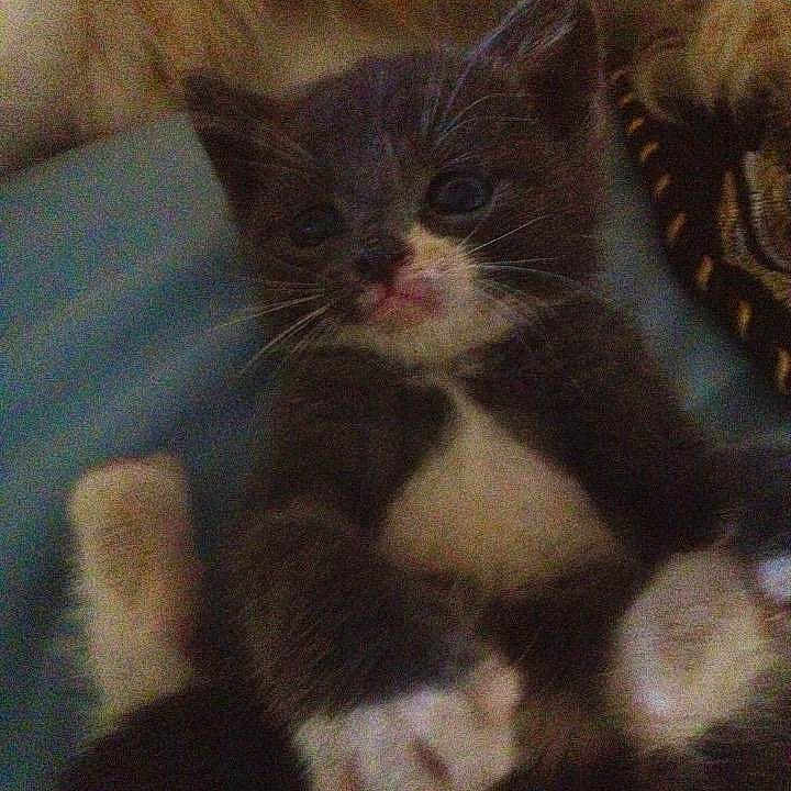 Nee Yo joined the competition — help win amazing prizes!