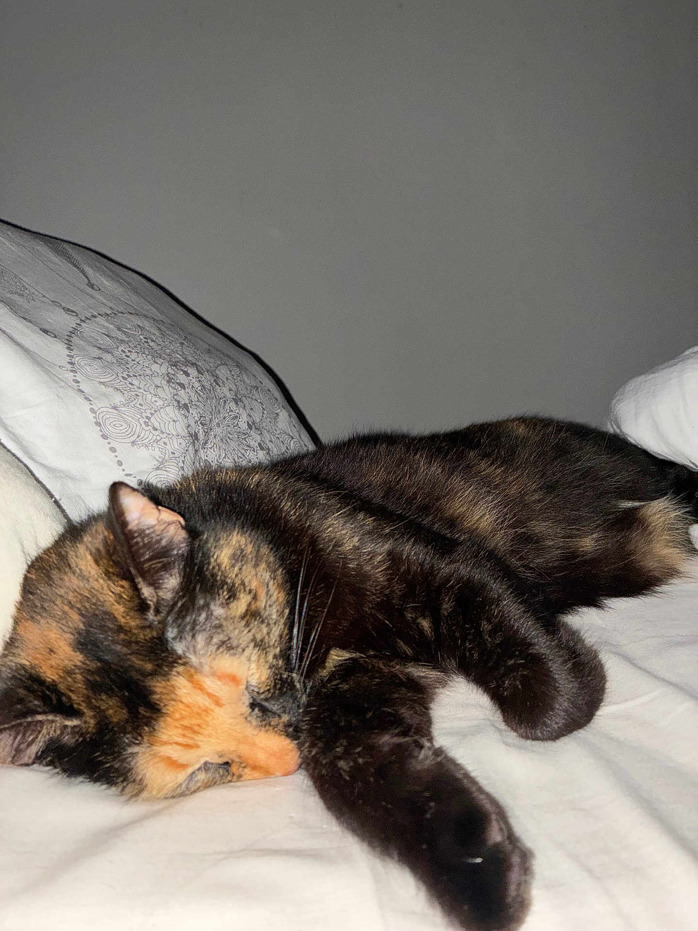 Mila