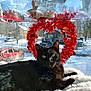 black_cat, cat, window, red_wreath, heart_shaped_wreath, snow, snowy_outdoor, car, house, reflection, fluffy_blanket, pet, animal, outdoor_scene, winter, holiday_decoration, cozy, sunlight, green_eyes, relaxing
