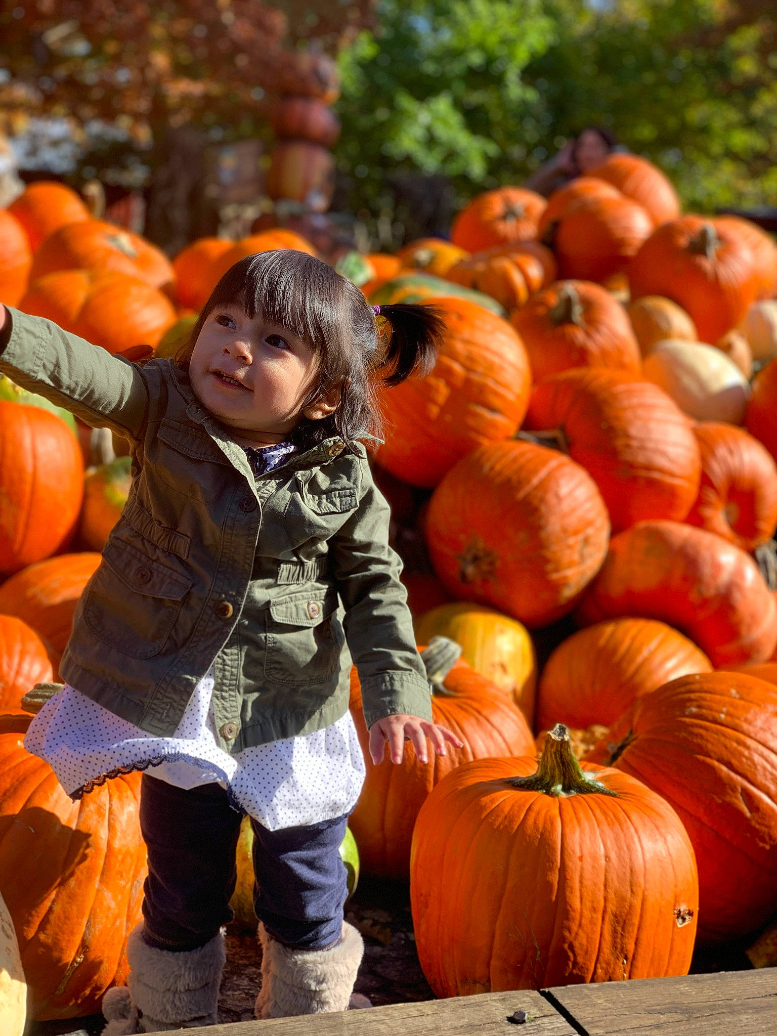 Aileen joined the competition — help win amazing prizes! _and_melon_family, _gourd, autumn, calabaza, cucumber, cucurbita, food, fruit, gourd, local_food, natural_foods, orange, person, plant, produce, pumpkin, smile, squash, superfood, vegetable