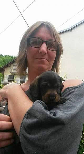 Loly participe au concours pour gagner de l'argent avec cette photo : alpine_dachsbracke, canidae, carnivore, companion_dog, dachshund, dog, dog_breed, puppy, puppy_love, rottweiler, sporting_group, thumb