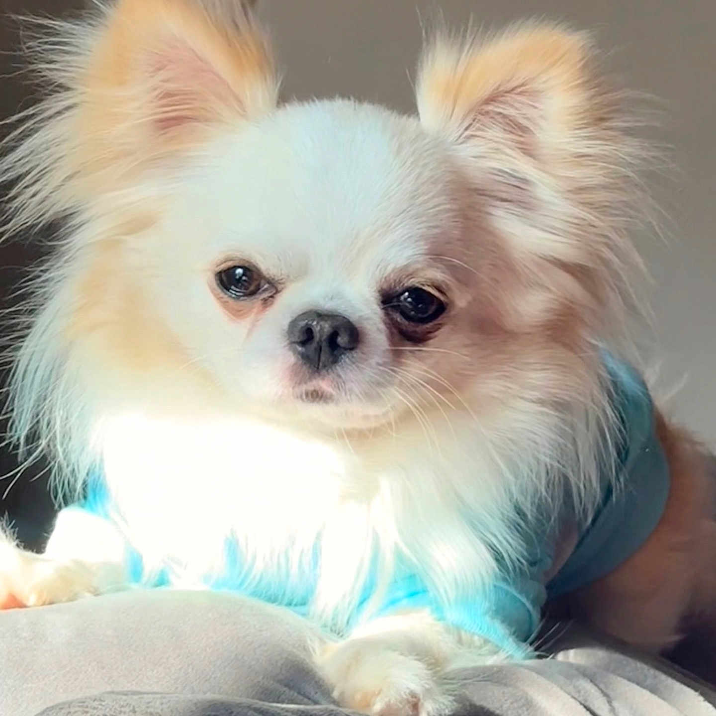 Benny