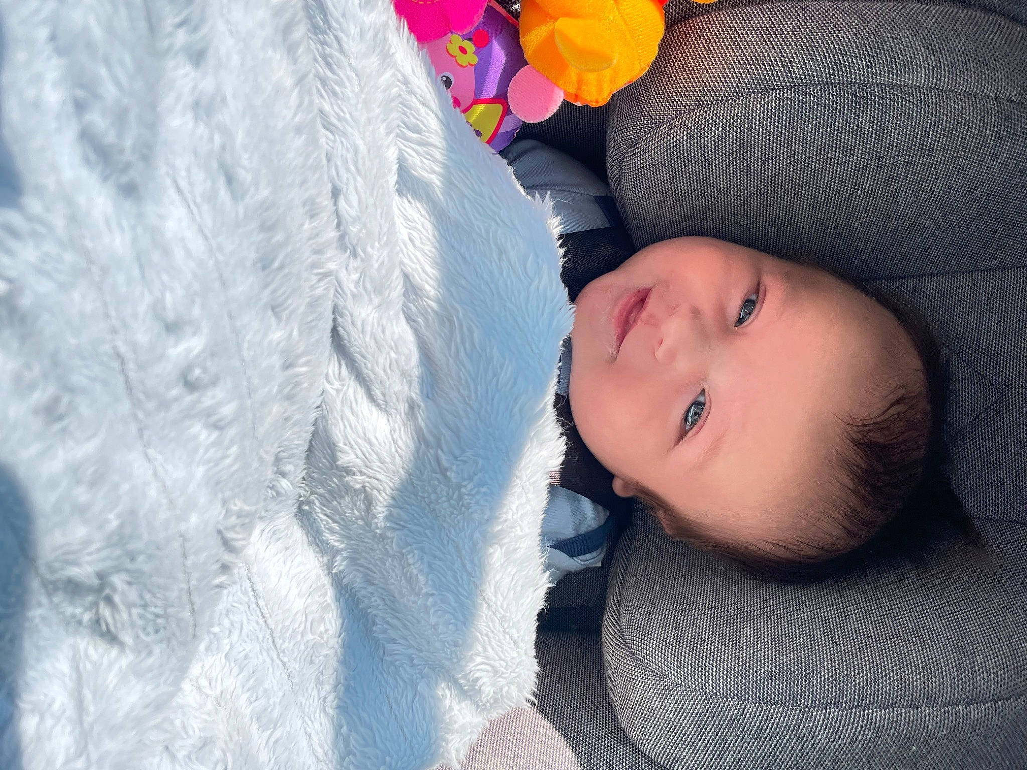 Rome is registered to the contest to win money with this photo: azure, baby, baby_toddler_clothing, cheek, child, comfort, electric_blue, grey, happy, iris, linens, lip, nose, pattern, person, petal, plant, skin, textile, toddler