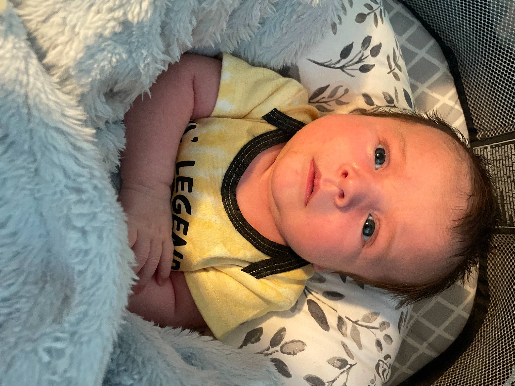 Rome is registered to the contest to win money with this photo: baby, baby_toddler_clothing, cheek, child, close_up, comfort, eyebrow, eyelash, fur, iris, linens, lip, mammal, nose, pattern, person, skin, sleeve, toddler, vertebrate