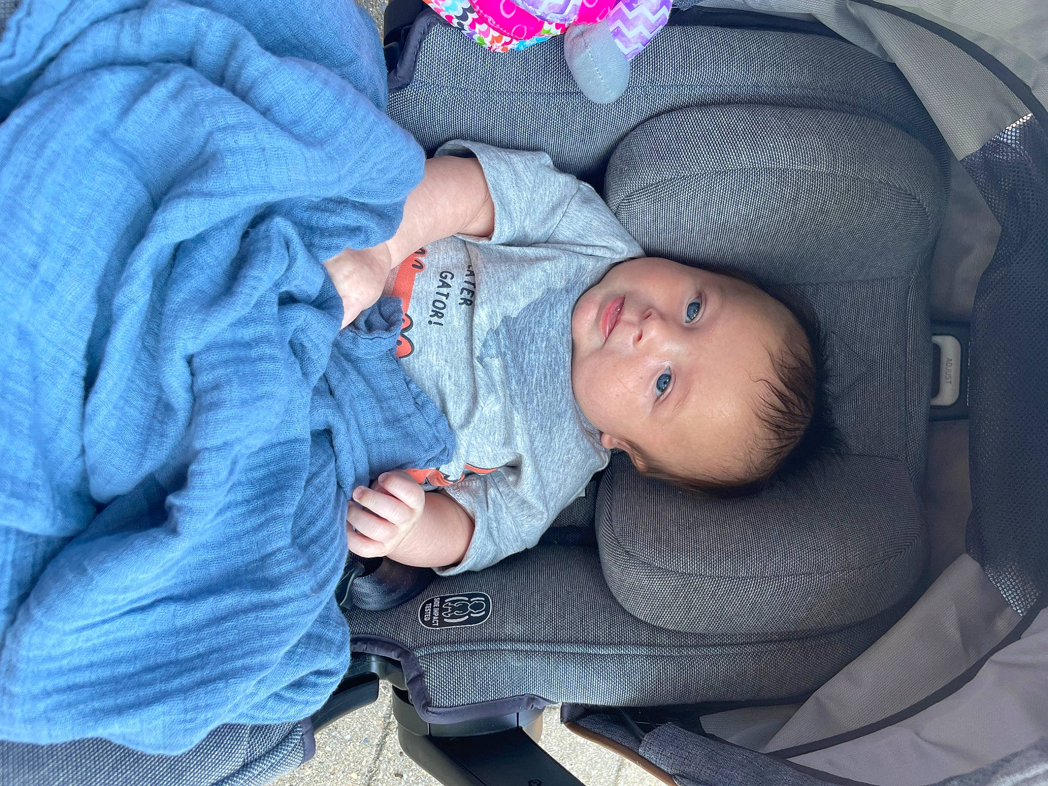 Rome joined the competition — help win amazing prizes! baby, baby_carriage, baby_in_car_seat, baby_products, baby_toddler_clothing, car_seat, child, comfort, electric_blue, finger, grey, hand, lap, nail, person, product, sitting, skin, toddler, tree