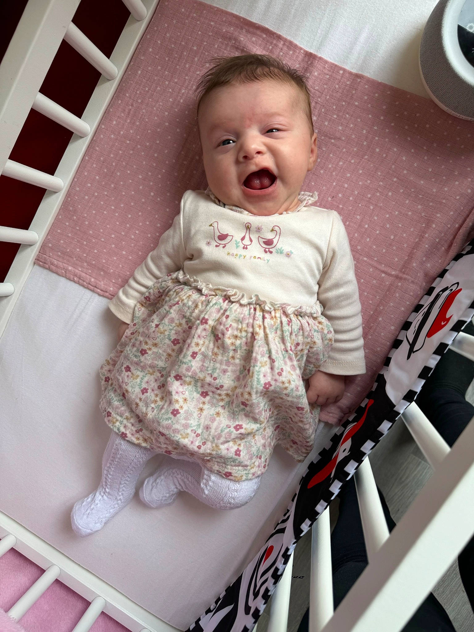 Ella a rejoint le concours — aidez-le/la à gagner de superbes lots ! baby, baby_products, baby_safety, baby_toddler_clothing, beauty, child, comfort, day_dress, dress, fashion, happy, linens, pattern, person, pink, product, room, sitting, sleeve, textile