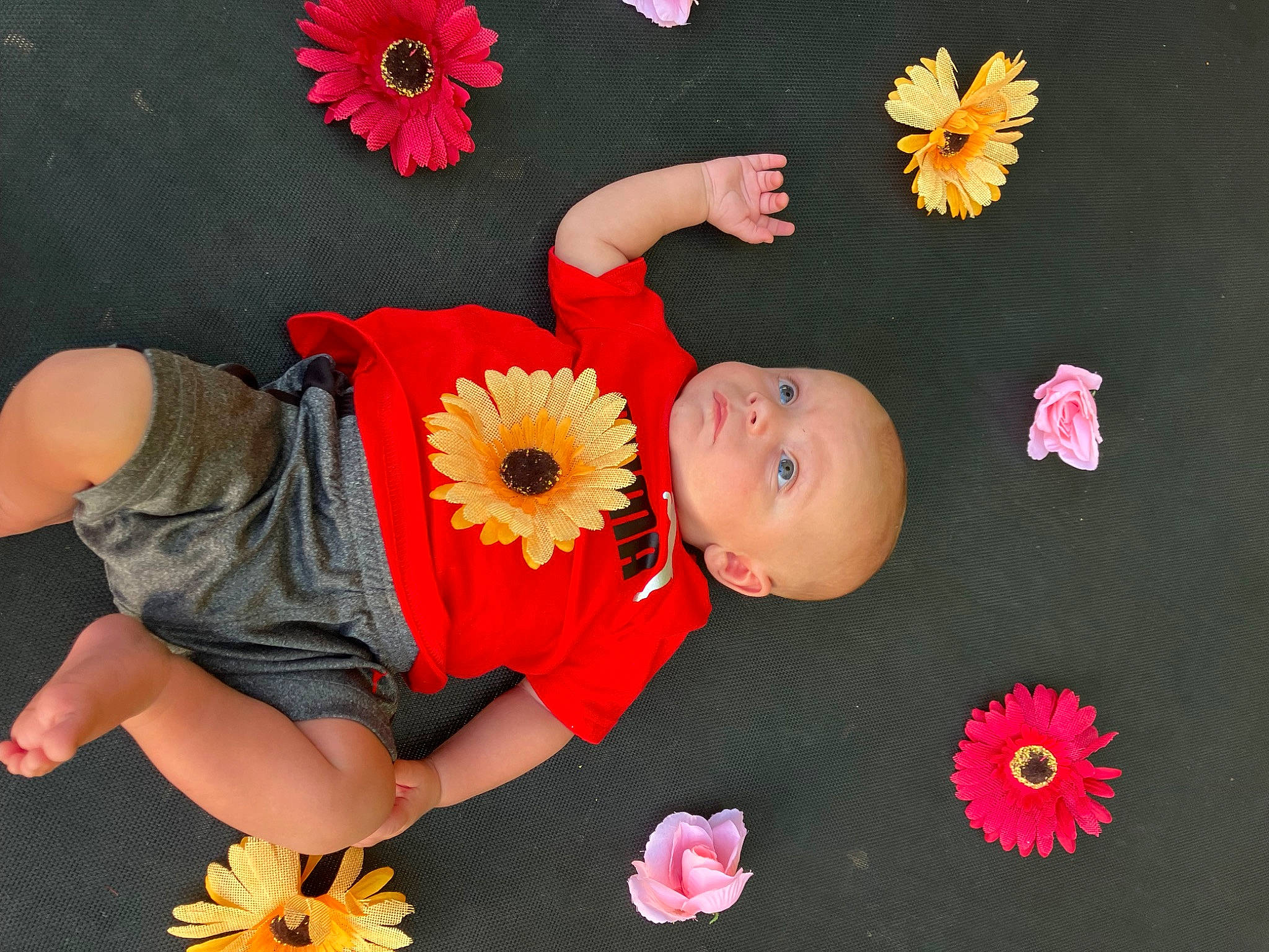 Bentley is registered to the contest to win money with this photo: arm, baby_toddler_clothing, cut_flowers, finger, flower, flowering_plant, hand, happy, human_leg, nail, orange, peach, person, petal, pink, plant, red, textile, thigh, toddler