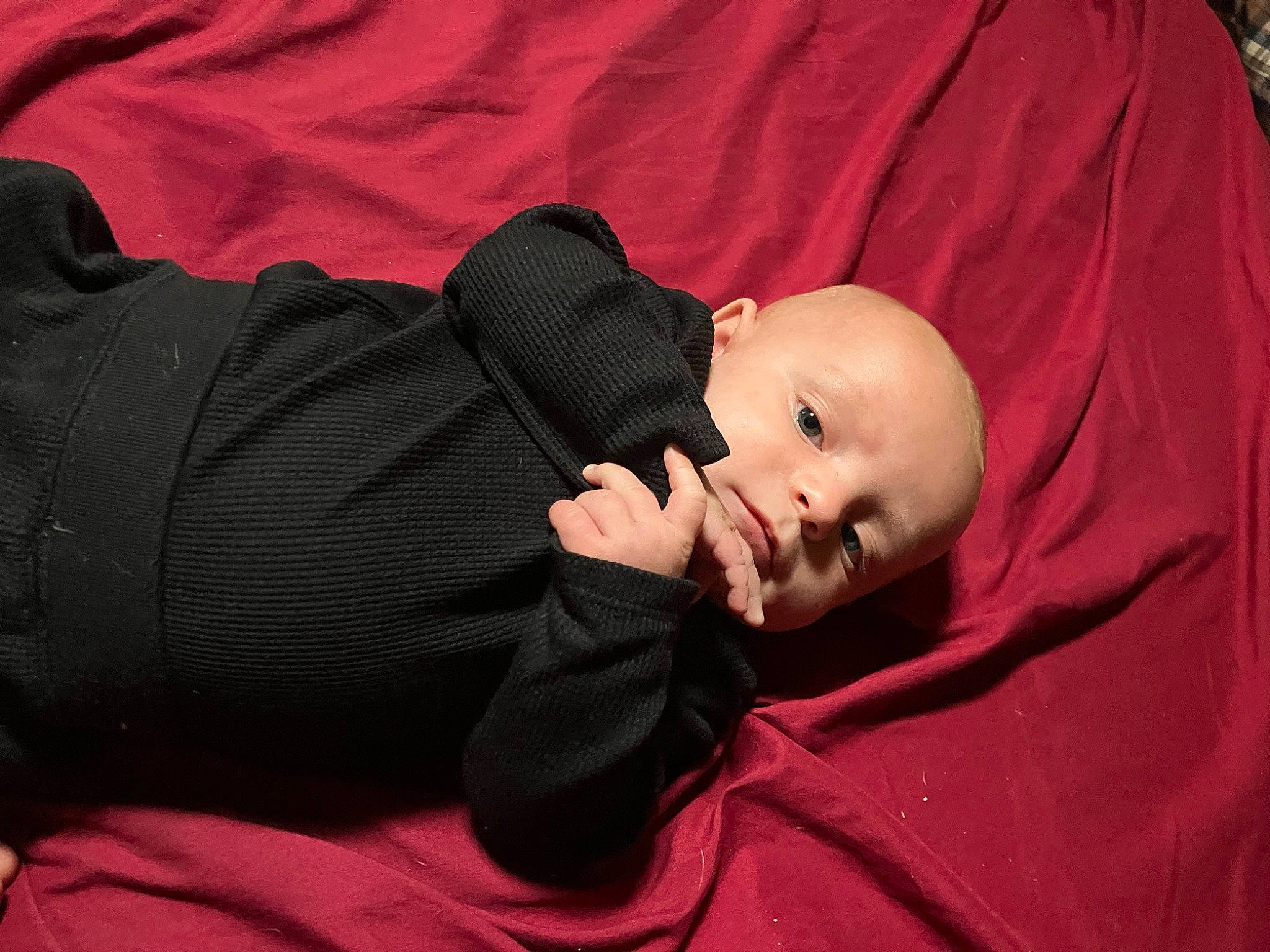 Bentley joined the competition — help win amazing prizes! baby, baby_products, baby_toddler_clothing, carmine, cheek, child, comfort, grass, linens, magenta, nap, pattern, person, room, sitting, sleeve, toddler, tree, wood