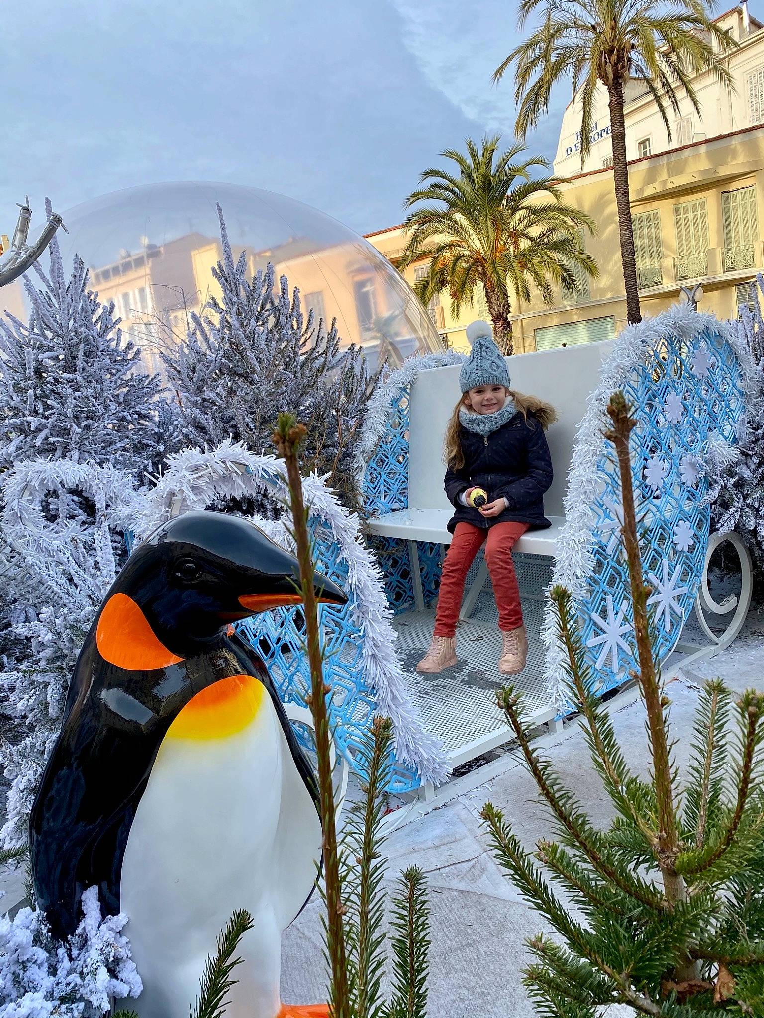Léna participe au concours pour gagner de l'argent avec cette photo : adalie_penguin, arecales, beak, bird, conifer, emperor_penguin, fir, flightless_bird, freezing, frost, headwear, joy, king_penguin, palm_tree, penguin, person, pine_family, snow, winter