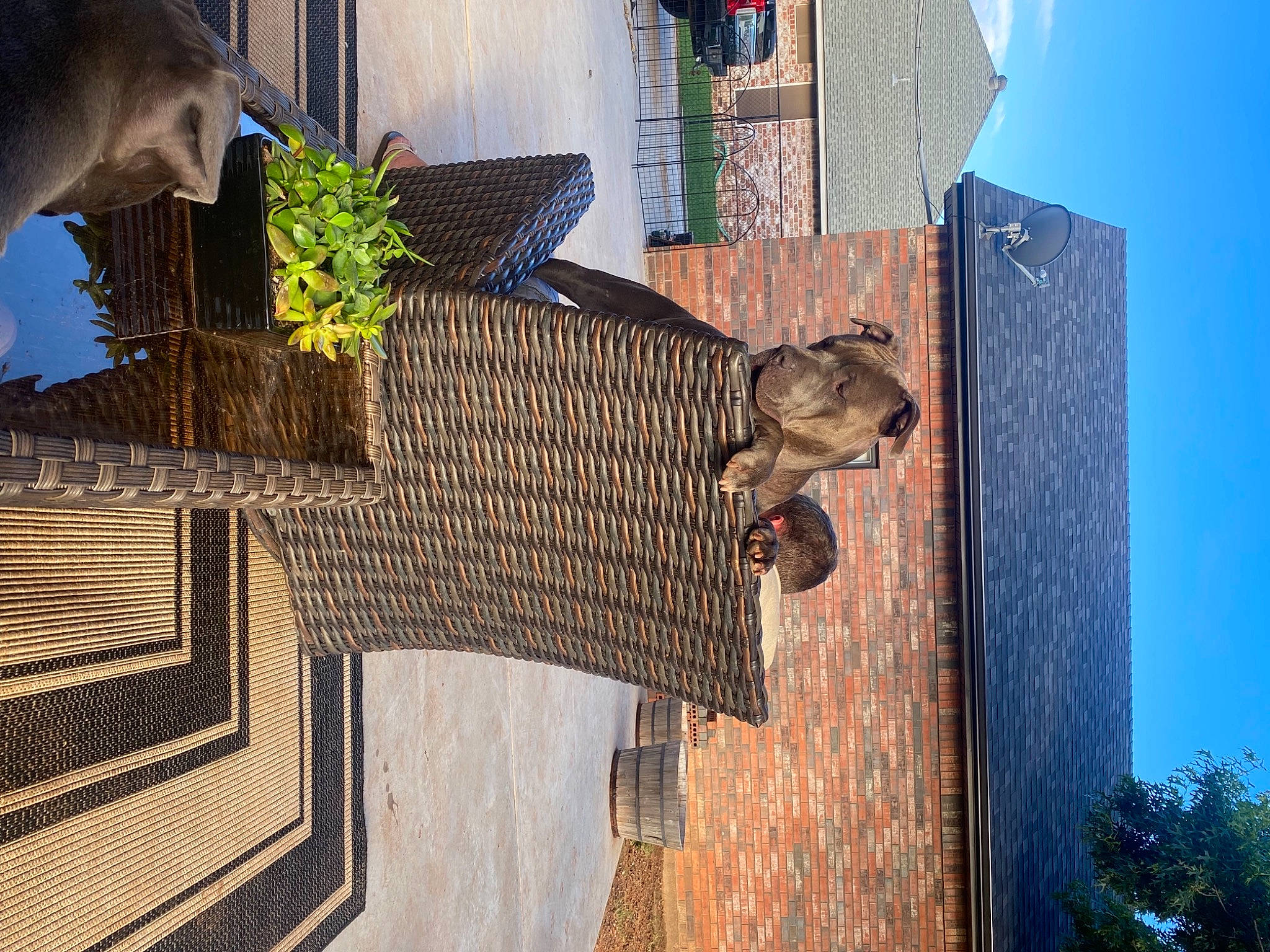 Kit is registered to the contest to win money with this photo: art, azure, beauty, blue, brick, brickwork, building, daytime, facade, house, landmark, property, real_estate, roof, sculpture, sky, tree, urban_design, window, wood