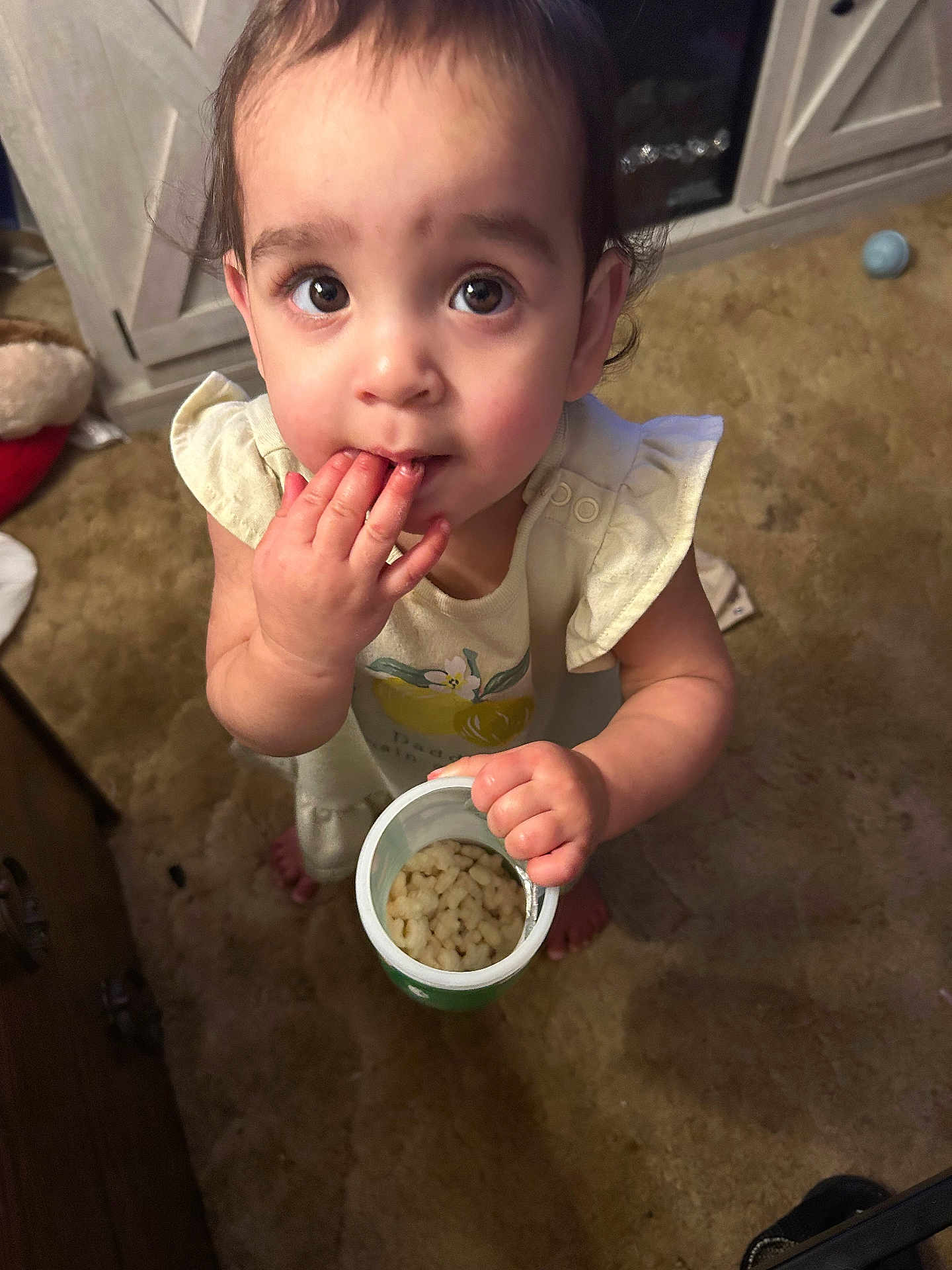 Viviana joined the competition — help win amazing prizes! toddler, child, indoor, snack, food, container, cereal, curious, looking_up, person, cute, small_hands, carpet, cabinet, clothing, short_sleeves, face, eyes, fingers, barefoot