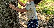 Viviana is registered to the contest to win money with this photo: child, toddler, tree, barefoot, curly_hair, outdoor, grass, sunlight, summer, nature, side_view, clothing, shorts, shirt, play, park, residential, daytime, person, young_child