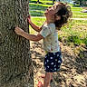 child, toddler, tree, barefoot, curly_hair, outdoor, grass, sunlight, summer, nature, side_view, clothing, shorts, shirt, play, park, residential, daytime, person, young_child