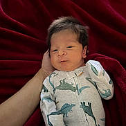 Bobbie is registered to the contest to win money with this photo: newborn, baby, infant, dinosaur_onesie, hand, red_blanket, cozy, cute, sleepwear, portrait, child, soft_texture, resting, indoor, young, human, face, expression, clothing, blanket