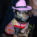 Tonya C.
