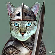 Jerry joined the competition — help win amazing prizes! cat, armor, helmet, sword, chainmail, blue_eyes, animal, feline, portrait, medieval, costume, weapon, closeup, gray_background, fantasy, brave, cute, pet, whiskers, ears