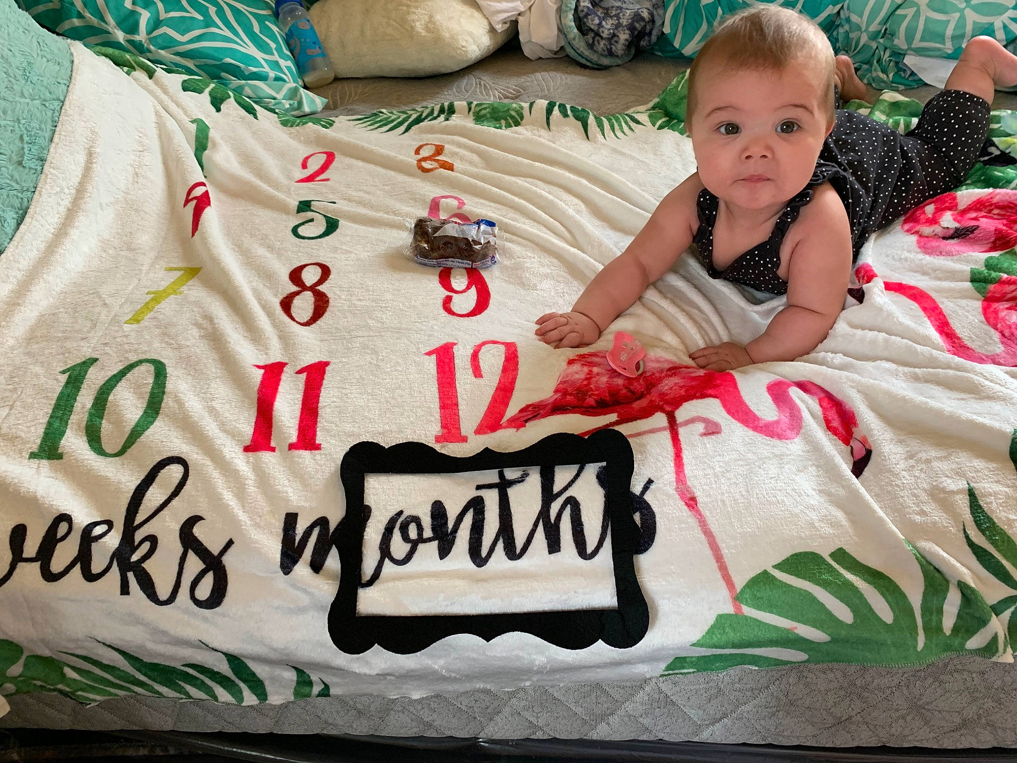 Cicily joined the competition — help win amazing prizes! baby, baby_toddler_clothing, bedding, birthday_cake, cake, cake_decorating, child, dessert, event, font, grass, green, handwriting, happy, linens, pattern, person, sharing, t_shirt, textile