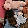 Bâilko participe au concours pour gagner de l'argent avec cette photo : dog, stuffed_animal, toy, basket, blanket, blue_blanket, brown_dog, plush_toy, pink_wall, wooden_floor, cozy, sleeping, pet, indoor, soft_texture, snug, animal, resting, cute, home