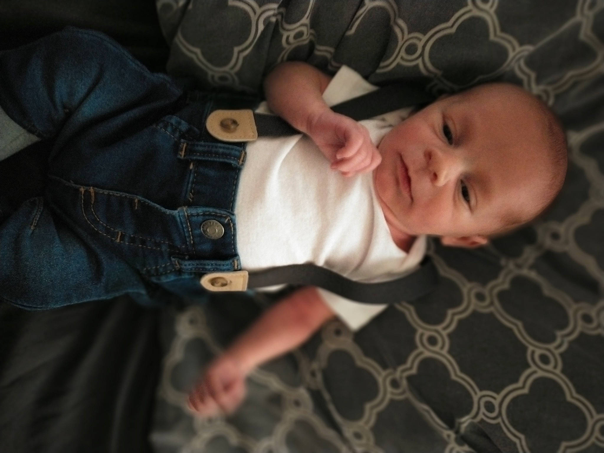 Cason is registered to the contest to win money with this photo: baby, baby_products, baby_toddler_clothing, button, cheek, child, comfort, denim, eye, finger, flash_photography, flooring, nose, pattern, person, sitting, skin, sleeve, toddler, tree
