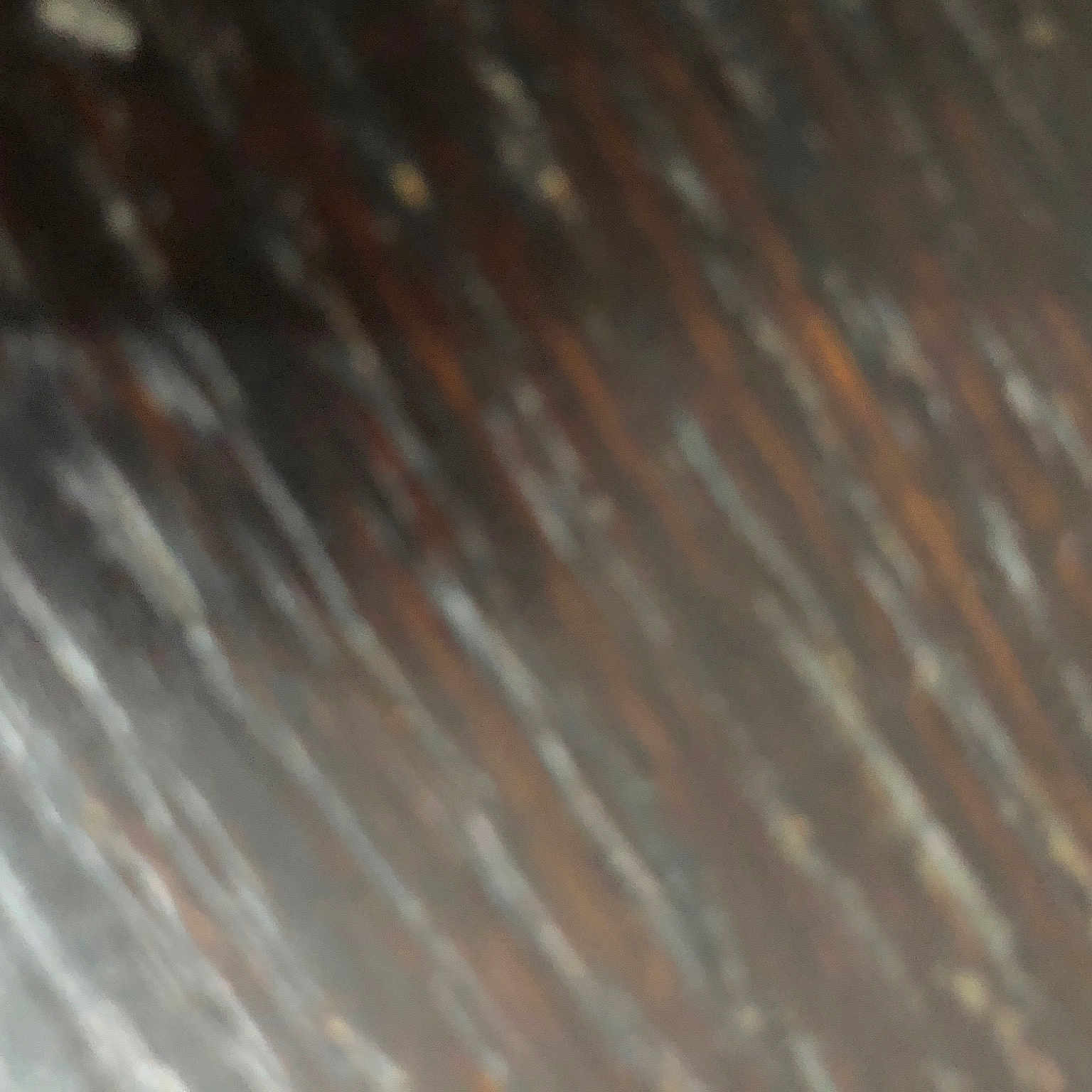 Amna a rejoint le concours — aidez-le/la à gagner de superbes lots ! brown, flooring, fur, hardwood, metal, natural_material, pattern, peach, steel, water, wood