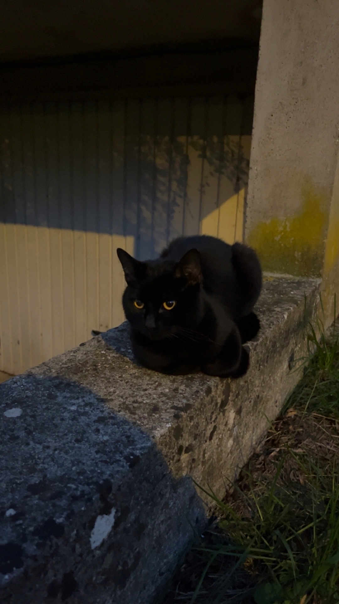 Salem