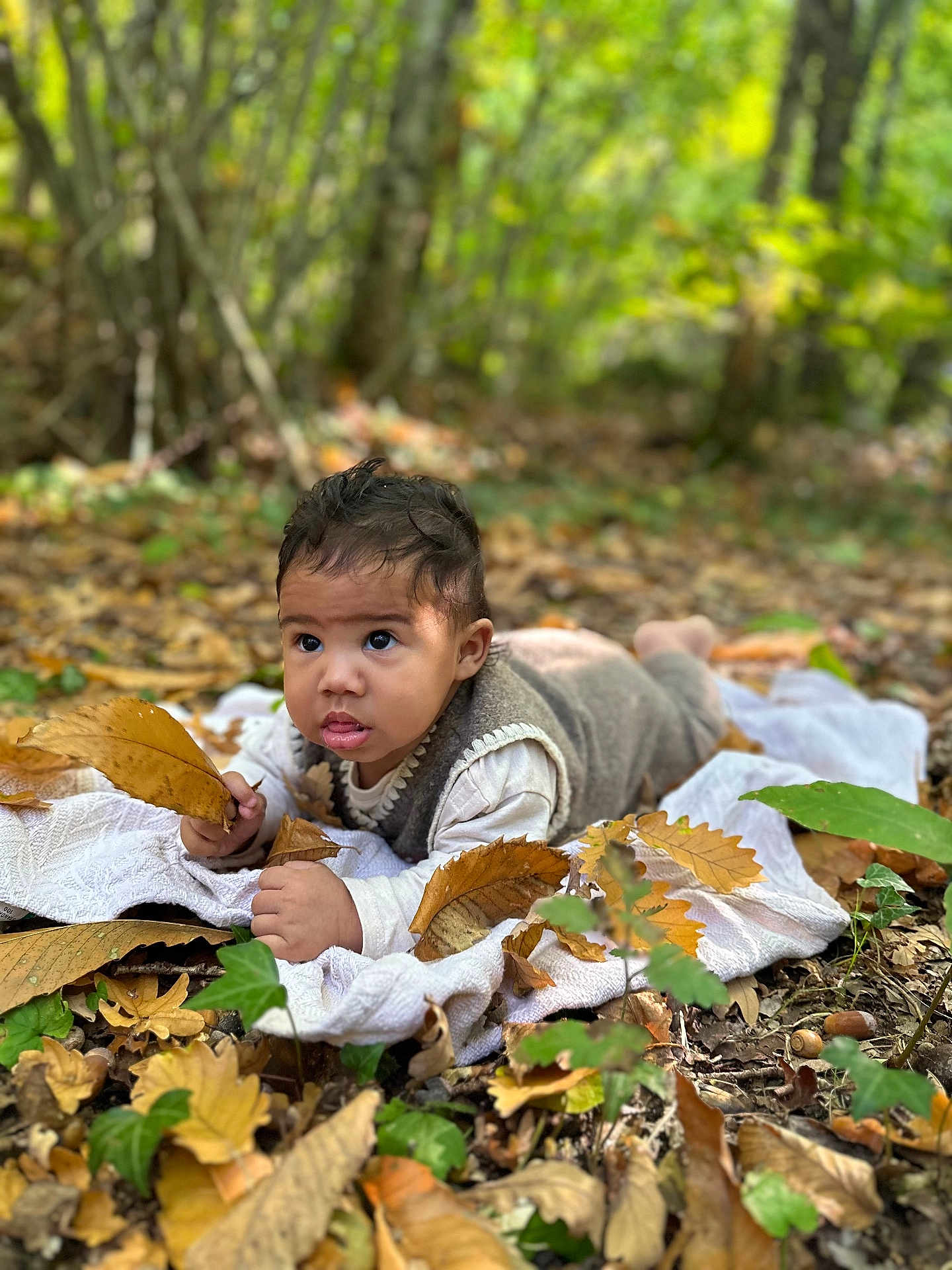 Naiym participe au concours pour gagner de l'argent avec cette photo : baby, child, forest, autumn, leaves, blanket, nature, outdoor, curious, fall, greenery, ground, infant, young_child, clothing, face, portrait, laying_down, seasonal, tree