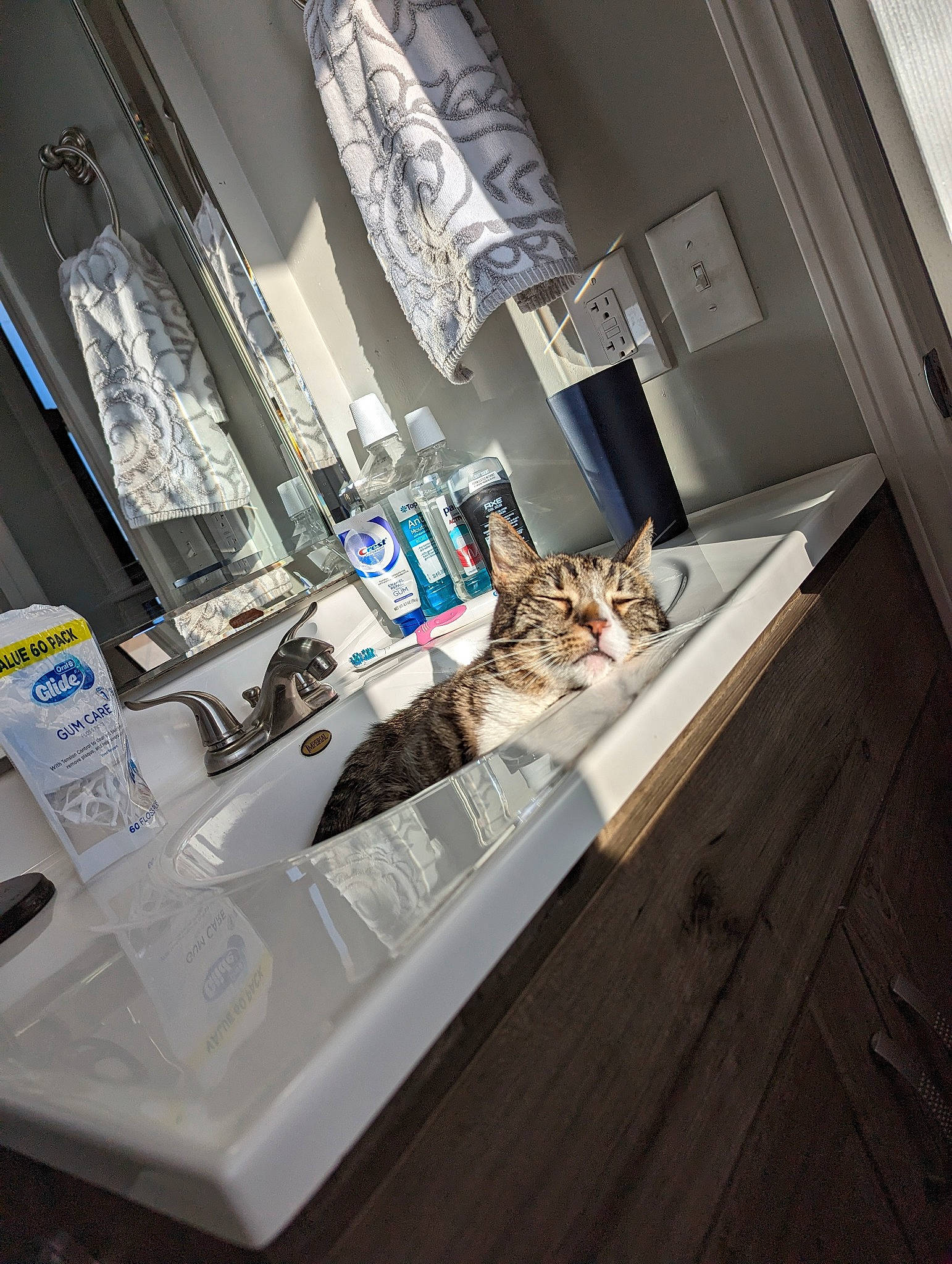 Noah is registered to the contest to win money with this photo: automotive_design, barware, building, ceiling, countertop, display_case, event, eyewear, flooring, font, glass, hardwood, interior_design, kitchen, material_property, room, space, table, tableware, wood