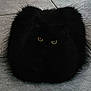 cat, black_cat, fluffy, pet, animal, eyes, floor, tiles, indoor, fur, cute, sitting, shadow, mystery, whiskers, domestic_animal, feline, quiet, still, curious
