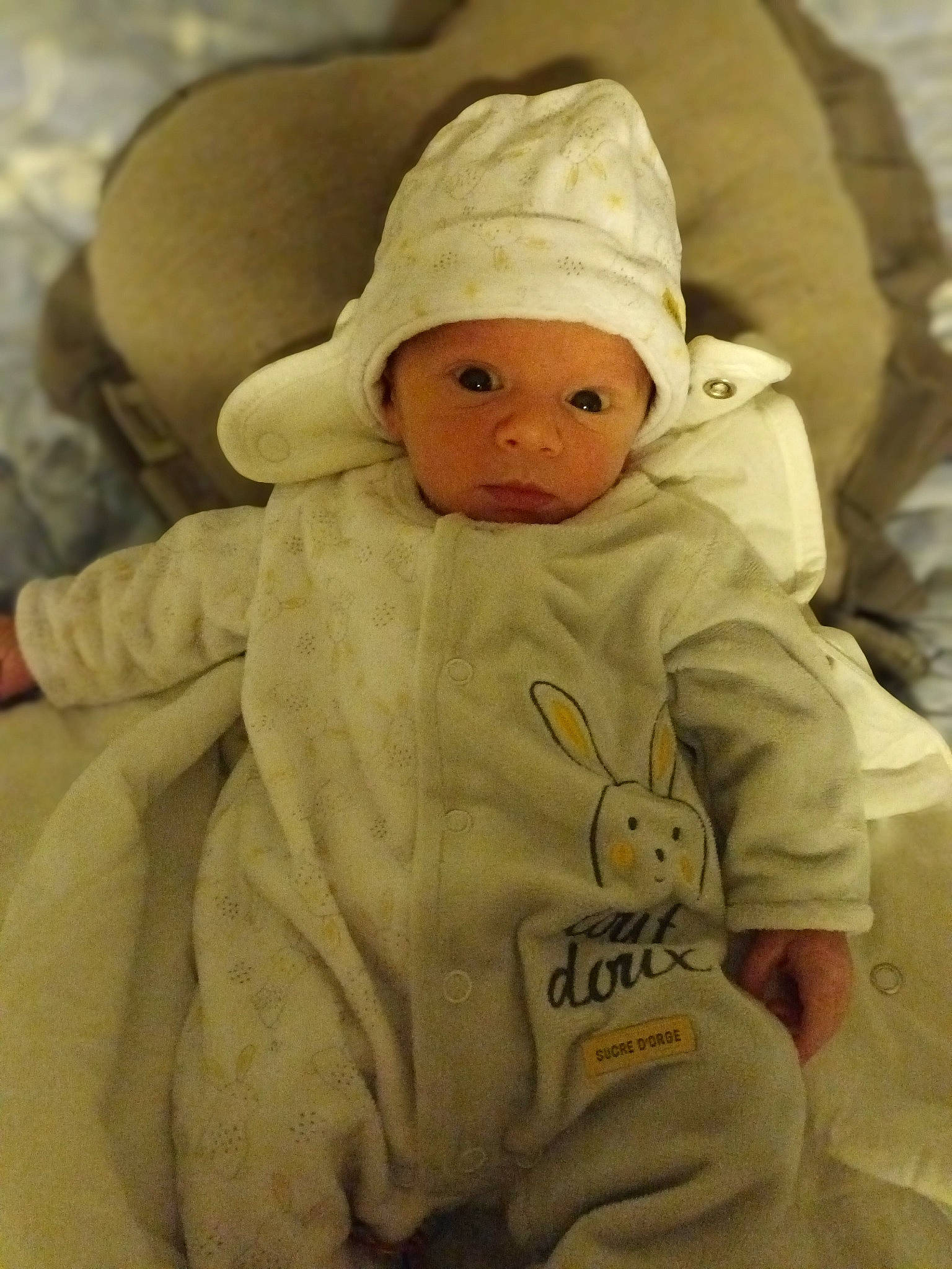 Ruben a rejoint le concours — aidez-le/la à gagner de superbes lots ! baby, baby_products, baby_sleeping, baby_toddler_clothing, beanie, cap, cheek, child, comfort, eye, face, fur, head, headwear, hoodie, human_body, knit_cap, linens, person, room