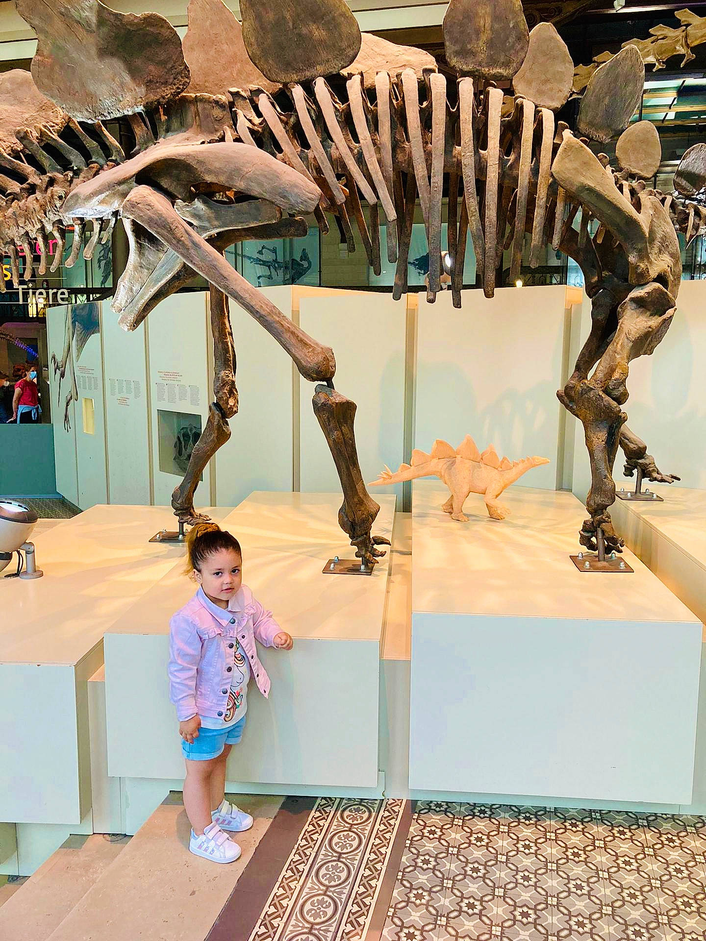 Camillia a rejoint le concours — aidez-le/la à gagner de superbes lots ! art, bench, bone, building, dinosaur, extinction, fossil, fun, leisure, machine, organism, person, photograph, recreation, rib, shorts, skeleton, tyrannosaurus, velociraptor, visual_arts