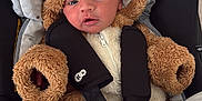 Noé participe au concours pour gagner de l'argent avec cette photo : baby, infant, car_seat, blanket, fur_costume, hooded_outfit, child, cute, face, portrait, indoors, seatbelt, soft_toys, warm, newborn, clothing, cozy, expression, headwear, small