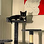 animal, anime_drawing, black_cat, cat, cat_tree, cozy, cute, fur, furniture, home, indoor, pet, platform, portrait, relaxed, resting, scratching_post, shadow, wall_art, white_paws