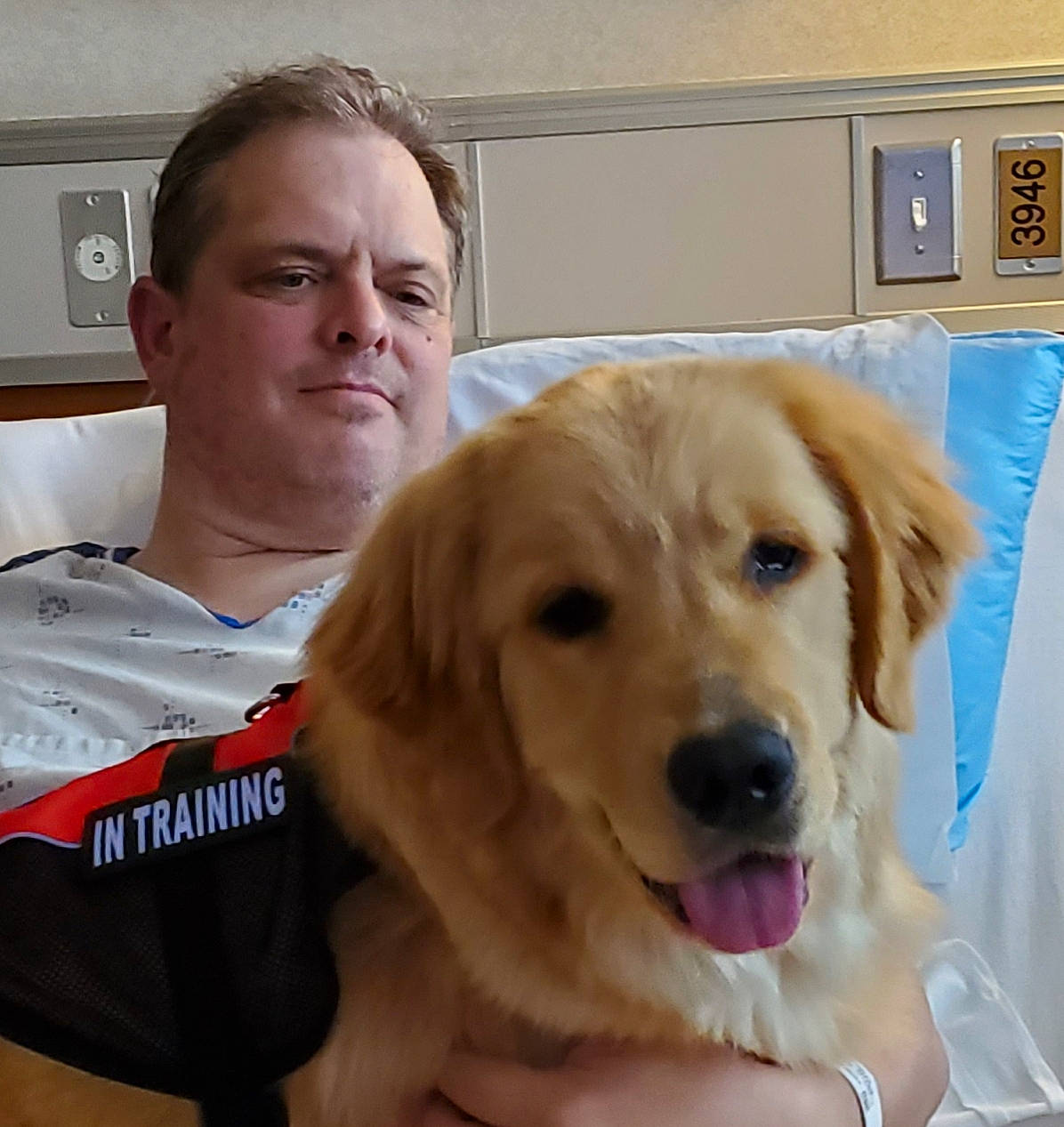 Jamie joined the competition — help win amazing prizes! canidae, carnivore, companion_dog, dog, dog_breed, fawn, golden_retriever, hovawart, mammal, nose, person, puppy, puppy_love, retriever, small_greek_domestic_dog, smile, snout, sporting_group, vertebrate