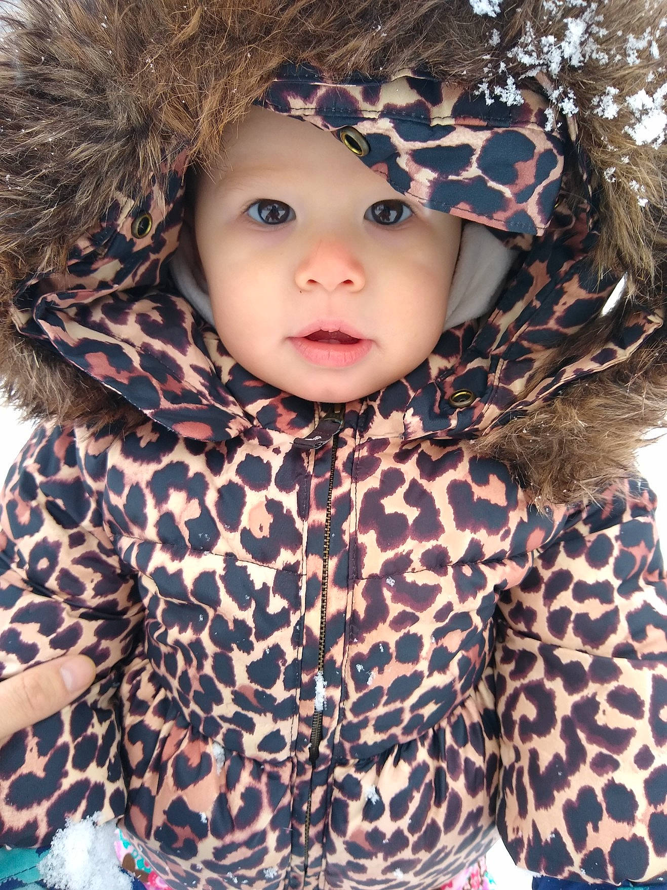 Ayla is registered to the contest to win money with this photo: baby_toddler_clothing, beauty, cap, child, clothing, eye, fashion_accessory, fur, headgear, headwear, hood, jacket, outerwear, pattern, person, photograph, sleeve, textile, toddler, tree