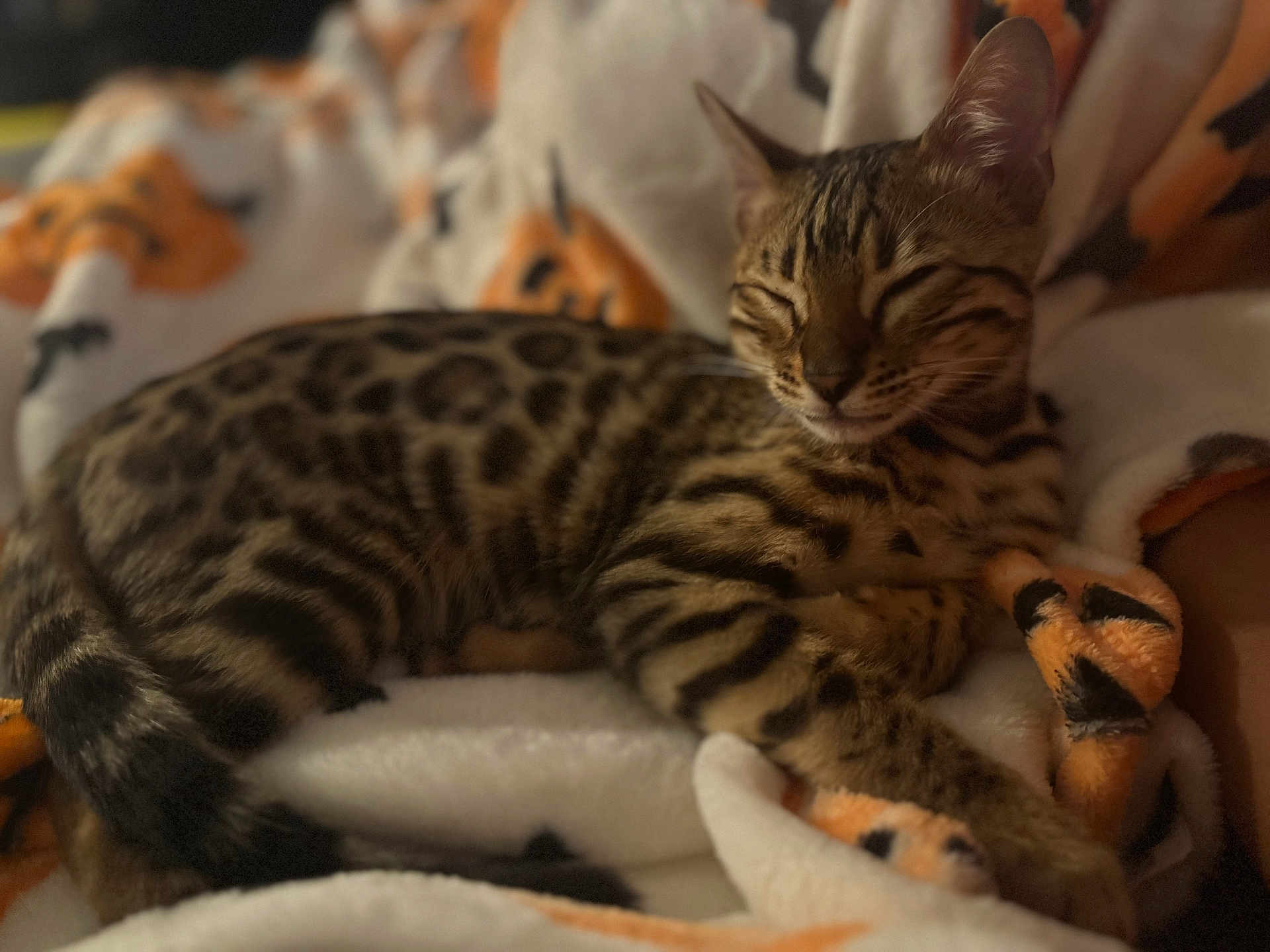 Kiki