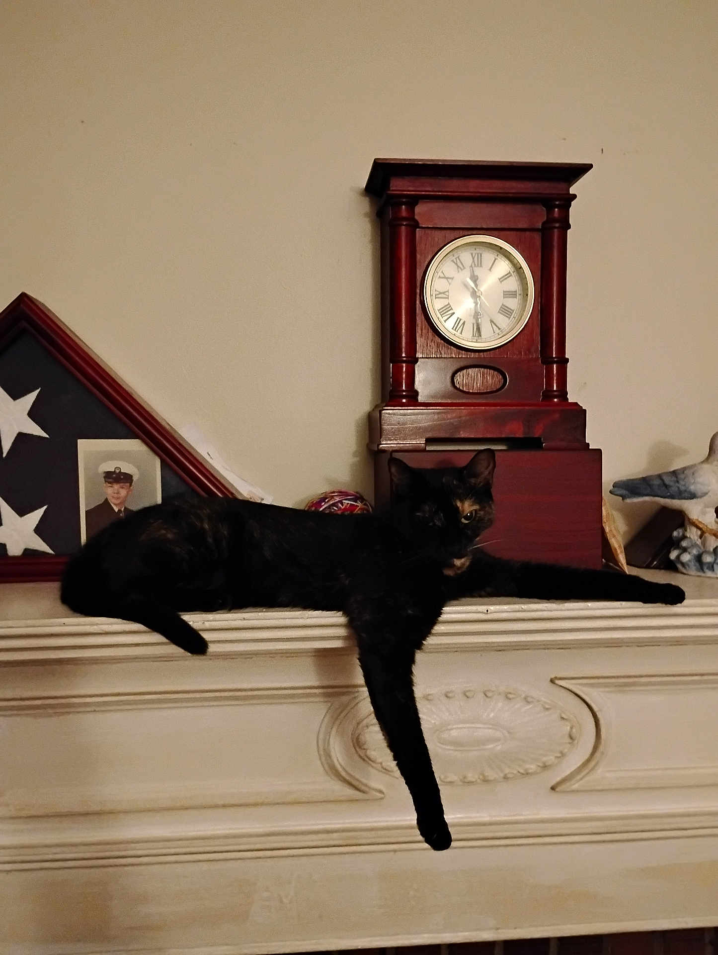 Tori is registered to the contest to win money with this photo: cat, black_cat, mantelpiece, clock, vintage_clock, flag, framed_photo, indoor, furniture, relaxing, stretching, animal, pet, home_decor, wood, white_wall, ornate, portrait_photo, still_life, domestic