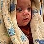 baby, blanket, face, child, infant, curious, wide_eyes, soft_texture, warm, indoor, cute, closeup, portrait, cozy, wrapped, expression, head, human, newborn, snug