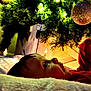 Ryden joined the competition — help win amazing prizes! baby, infant, christmas_tree, ornament, bauble, string_lights, blanket, bokeh, holiday, decoration, face, profile, red_clothing, indoors, pine_branches, soft_texture, gaze, curiosity, closeup, cozy