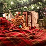 blanket, cat, christmas_tree, collar, cozy, decorations, festive, furniture, holiday_lights, home, indoor, orange_tabby, ornaments, pet, plaid, plant, relaxed, statue, warm_lighting, wooden_floor