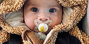 Louie is registered to the contest to win money with this photo: baby, pacifier, hoodie, teddy_bear, child, cute, blue_eyes, clothing, warm, seatbelt, car_seat, close_up, infant, face, portrait, soft_texture, expression, adorable, young_child, bundle