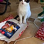 Maya a rejoint le concours — aidez-le/la à gagner de superbes lots ! animal, black_and_white, cat, christmas, curious, cute, domestic, feline, floor, gift_wrapping, holiday, home, indoor, package, paws, pet, present, tile, treats, whiskers