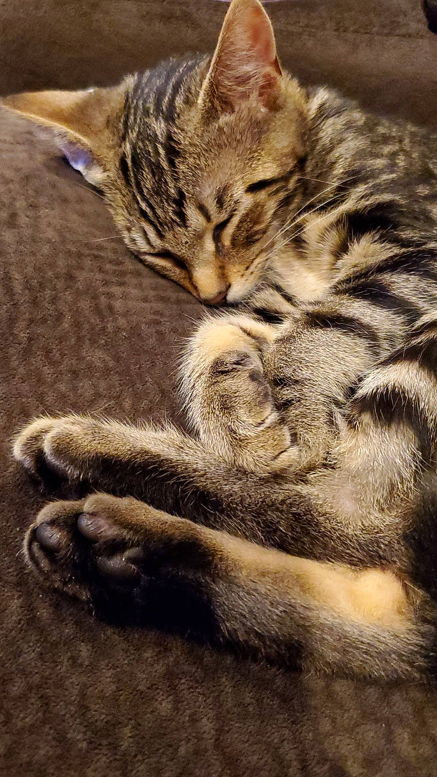 Theon is registered to the contest to win money with this photo: