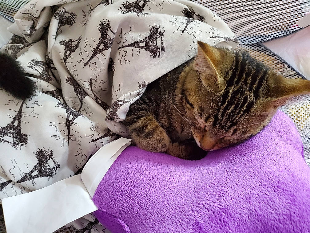 Theon is registered to the contest to win money with this photo: