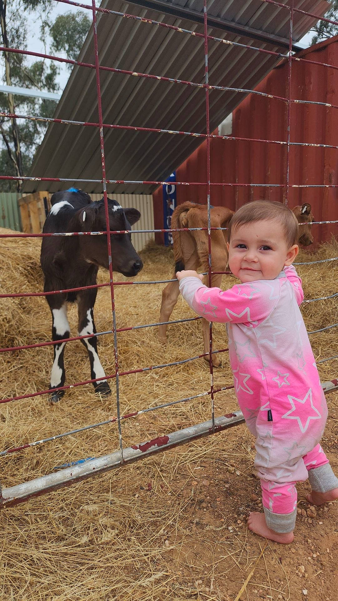 Alivia joined the competition — help win amazing prizes! animal_shelter, baby_toddler_clothing, bridle, fence, fun, helmet, horse, horse_supplies, horse_tack, joy, landscape, pack_animal, person, pet_supply, recreation, rein, smile, soil, toddler, tree