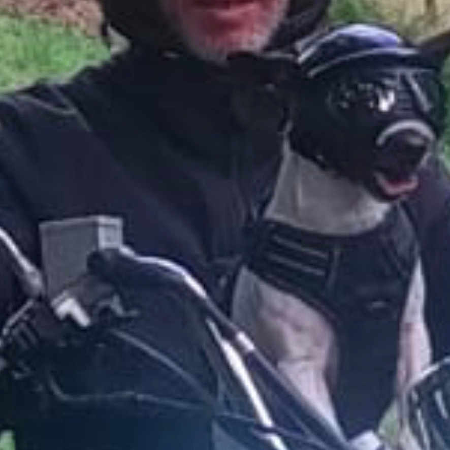 Zorro