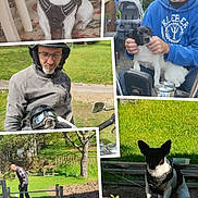Zorro a rejoint le concours — aidez-le/la à gagner de superbes lots ! dog, man, outdoor, grass, helmet, goggles, collage, pet, leash, harness, yard, garden, casual_clothing, motorcycle, sunlight, shadows, bench, fence, interaction, affection